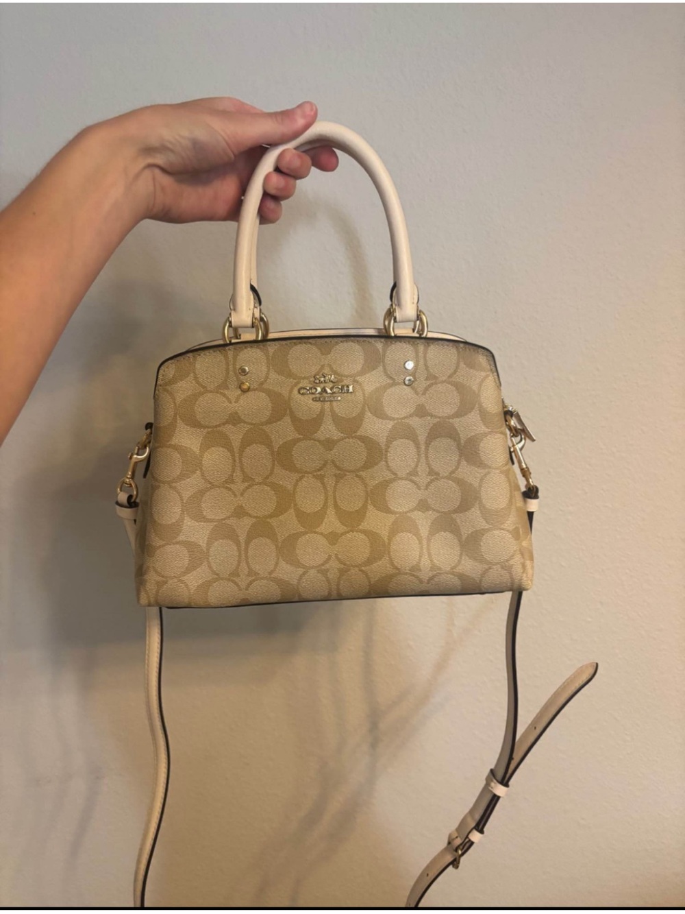 Coach Lillie Carryall Bag